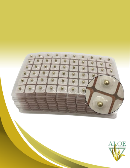 BALINES PARA AURICULOTERAPIA