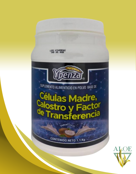 CELULAS MADRE ,CALOSTRO Y FACTOR DE TRANSFERENCIA